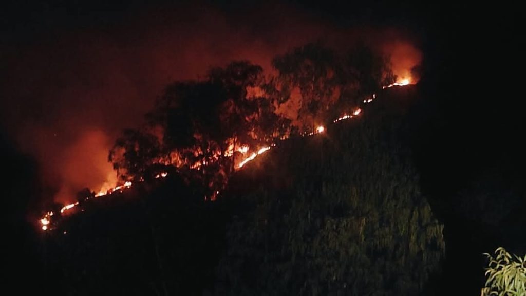 WhatsApp Image 2024-12-15 at 8.03.33 PM