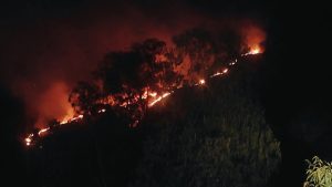 WhatsApp Image 2024-12-15 at 8.03.33 PM